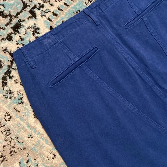 NWT Free People Women’s SR. vs. Sandrine Rose "The Virgin Label" Blue Pants - Picture 10 of 11